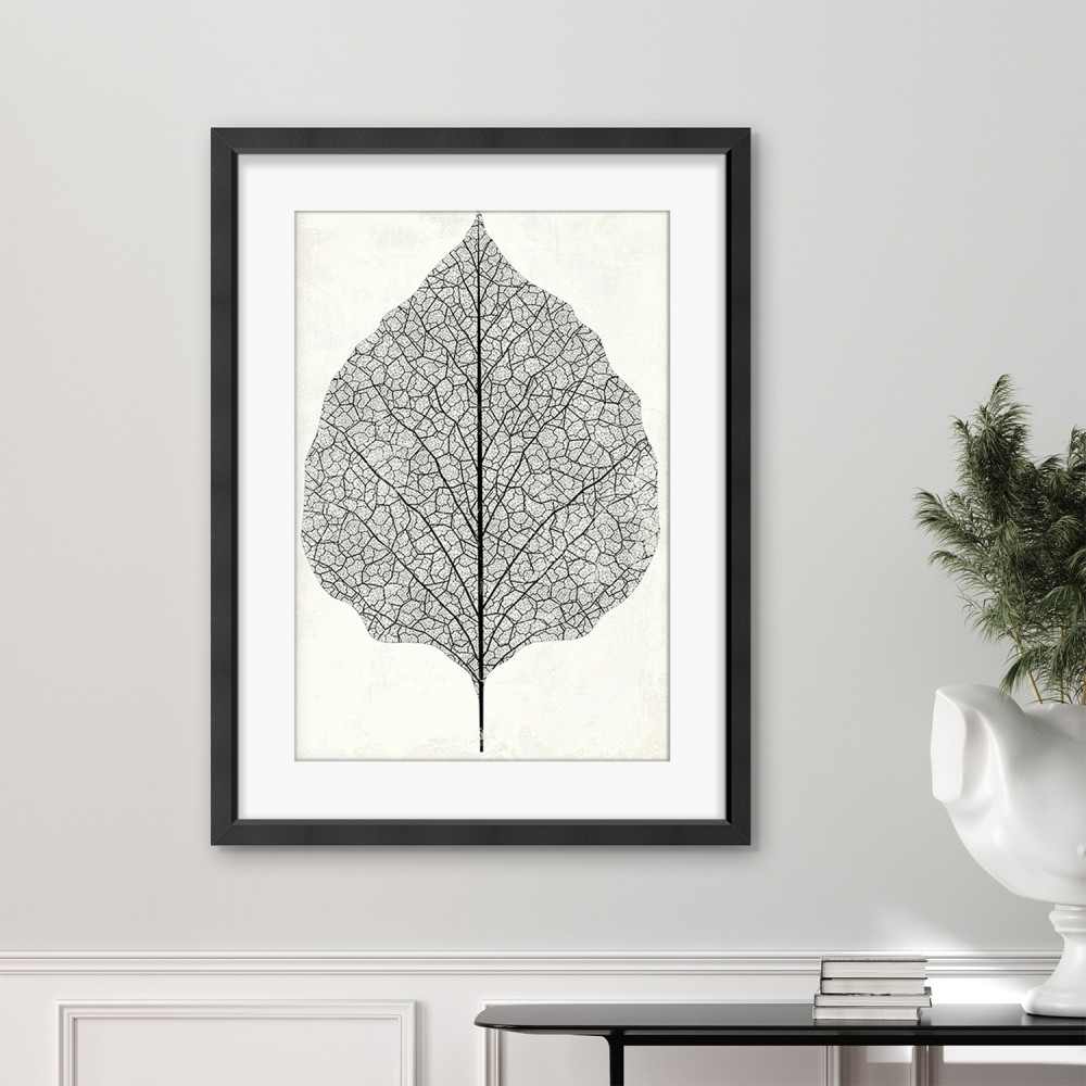 Framed Poster